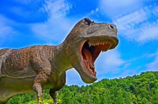 JuraPark Bałtów Bałtowski Kompleks Turystyczny